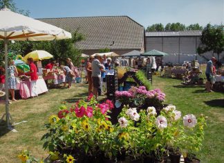 Geslaagde Poldermarkt bij de Mariahoeve in Strijen