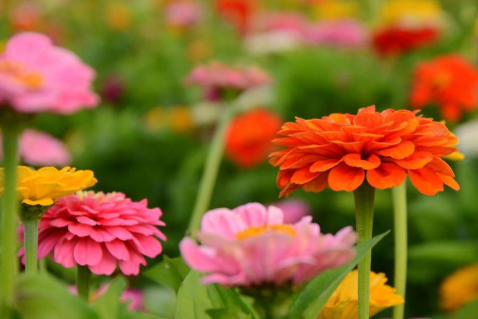 0dd97427-9a6d-4954-9d57-8447c879e1ce