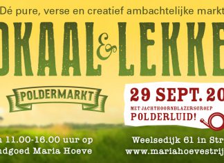 Poldermarkt bij de Mariahoeve in Strijen