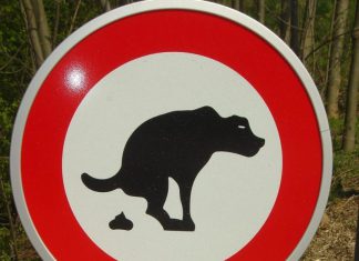 Goed nieuws: Het opgehangen bordje verboden bij de Lichtopstand Strijensas voor honden is niet juist!