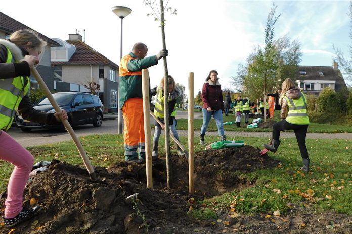 Boomfeestdag Strijen 2018 A10