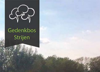 Vrijdag 15 maart 4e plantdag voor het Gedenkbos in Strijen