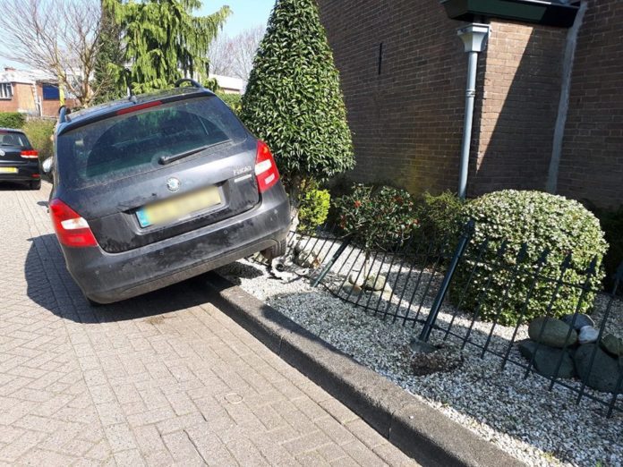 55910115_1870124506427439_7350396924316352512_n