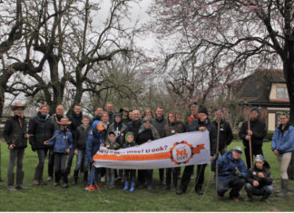Landgoed De Peerdegaerdt is weer zomerklaar dankzij vrijwilligers NLdoet