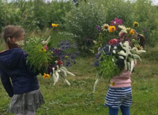 Op 10 mei opent Plukhoek Mookhoek weer!