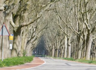 Strijensedijk tussen Strijen en Mookhoek moet groen blijven