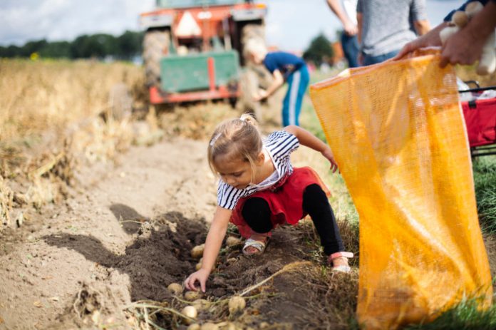 beaae8bc-2013-48c1-a9b9-610f7b489486