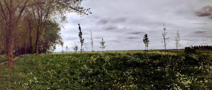 60006312_670094450078410_3301833559945248768_o