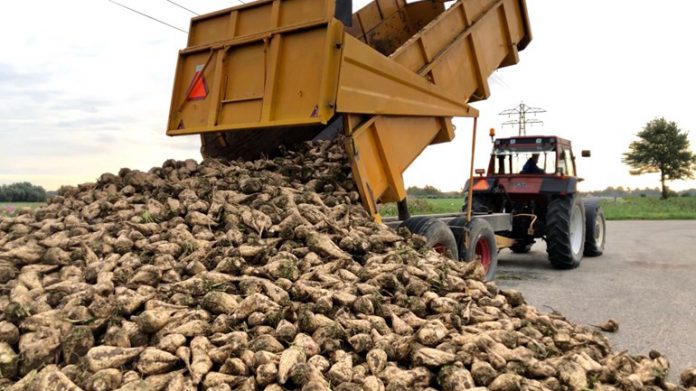 Foto Jaco van der Giessen - Rijnmond