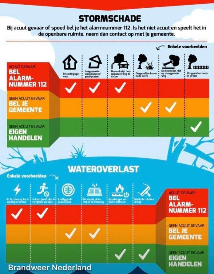 FB_IMG_1581196296389