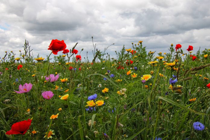 62C72252-BC07-4E92-B90E-1836ECE36F91