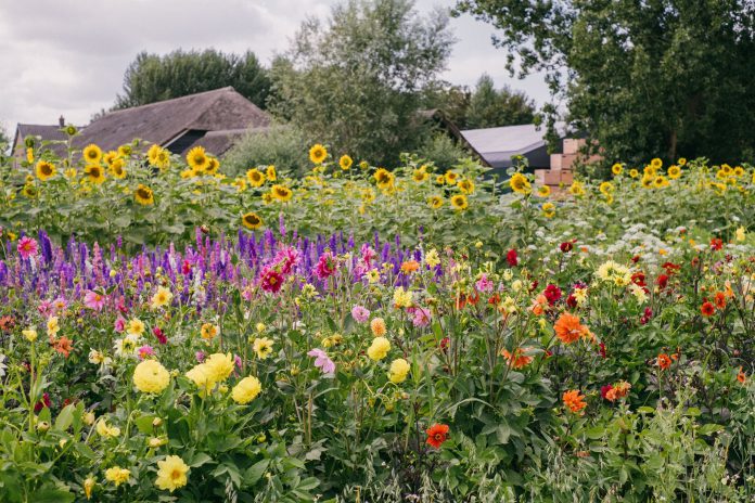 116717206_3156707781079388_488454190137300670_o