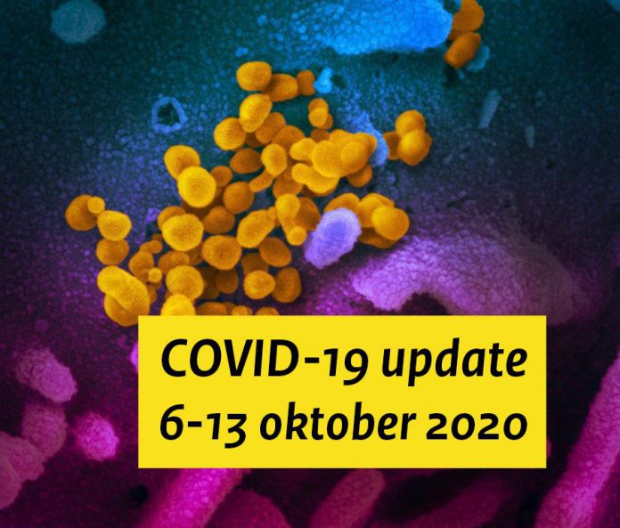 121633439_3343833998999905_2716445834988432069_n