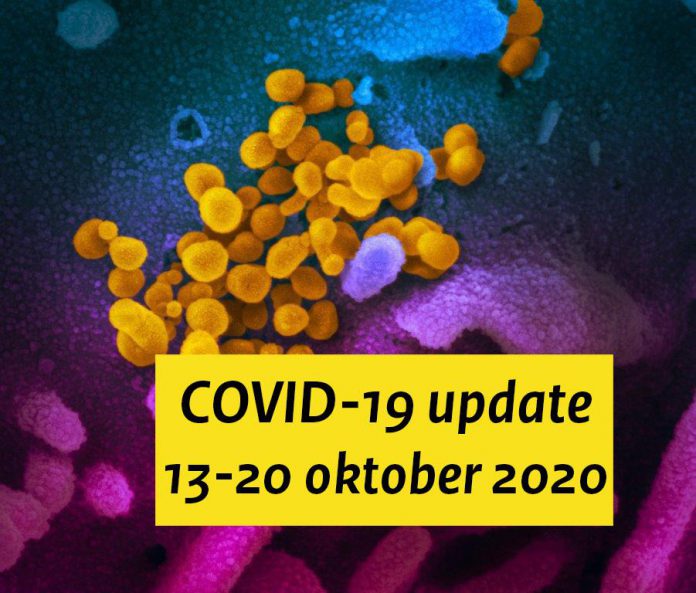 122072920_3362346100482028_571692027388368666_n