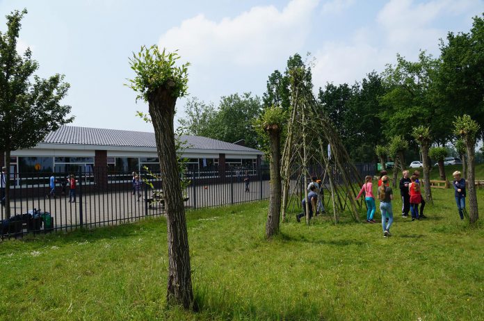 13305200_559951187507410_9148335413274101028_o-2