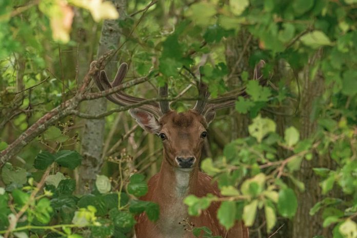 7C88827C-7B75-4C94-9158-708A6A77AAC1