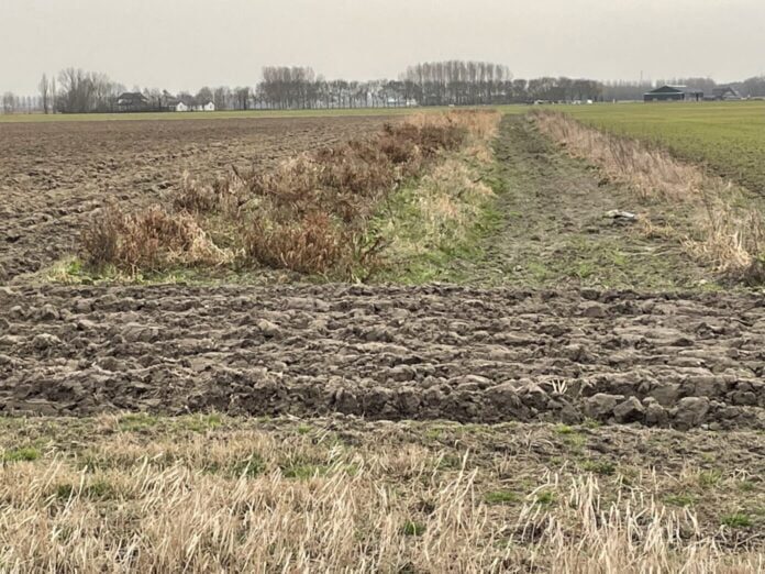 09D80C6C-D0CB-4DEC-A72C-A29F6A564E02