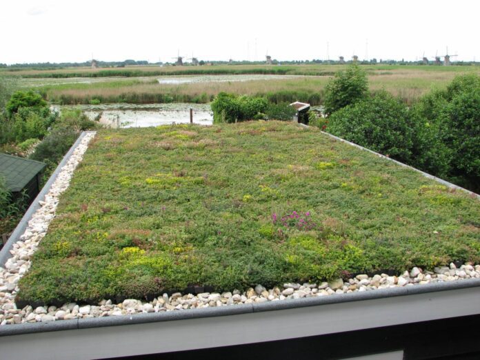 kant-en-klaar-groen-sedum-dak-hoe-werkt-het