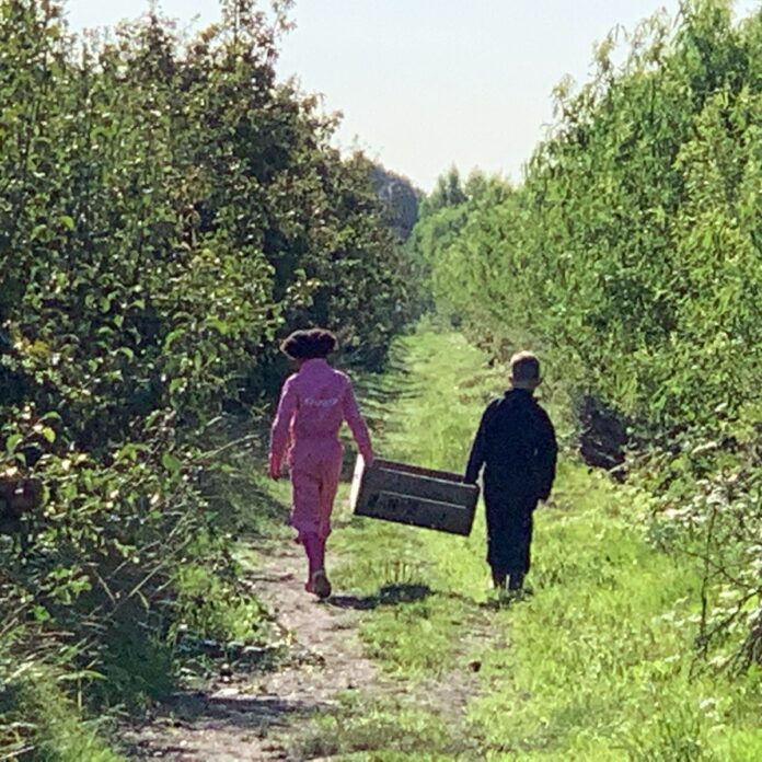 546B6A3A-84C2-41F5-B269-0D836B331309