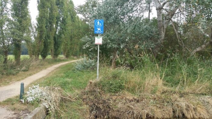 20160922-strijen-bovenweg-bos.jpg kopie