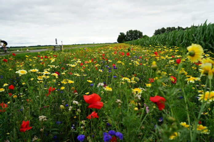 2B8D75FD-4B35-4A23-8587-F4DE9AE2701C