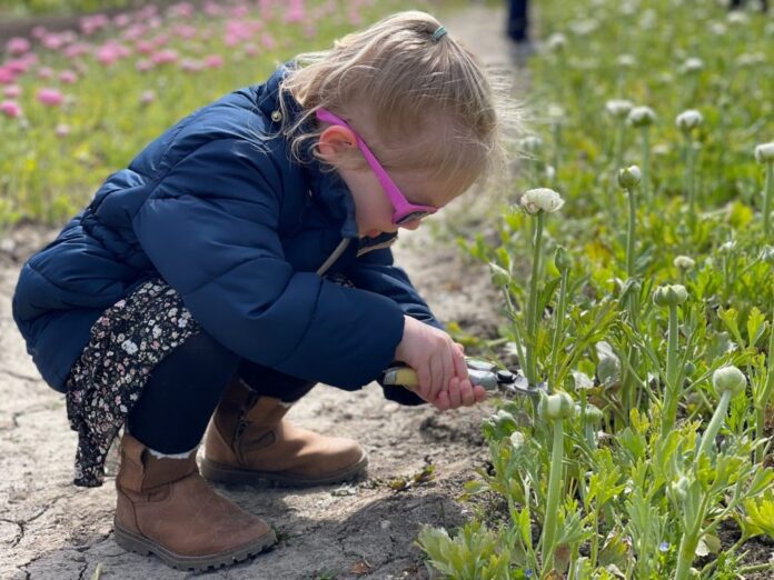 60DB2427-CFBD-40DB-B6D9-37B645E03802