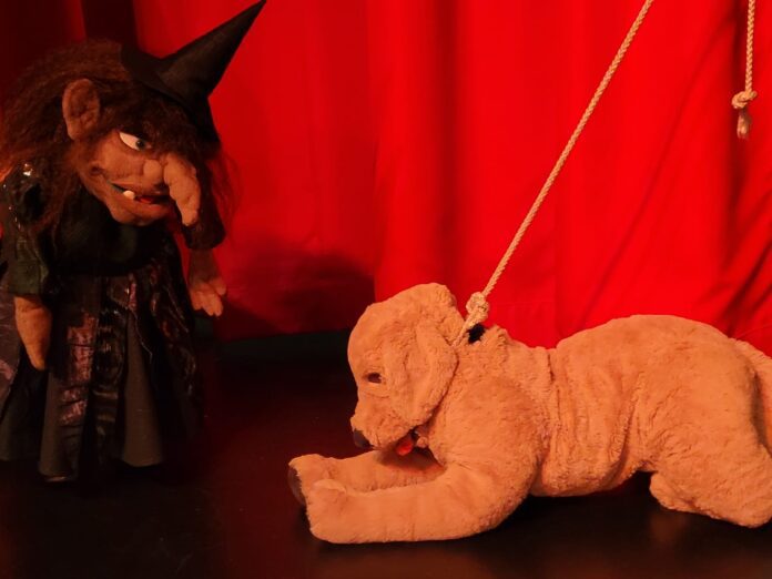 308989973_529948159131147_1499737892683199206_n