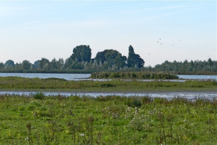 Oeverlanden H. Diep C9