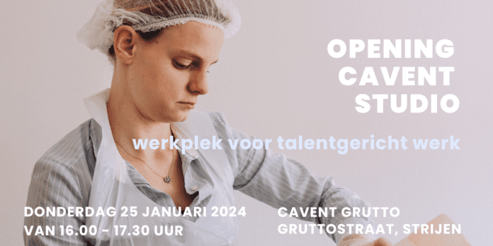 werkplek voor talentgericht werk -website (1)