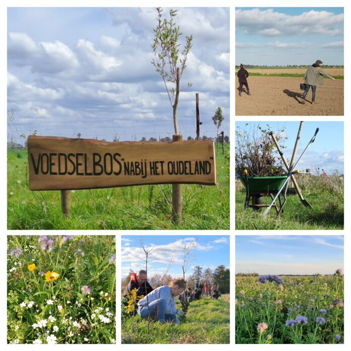 20241029_192528-COLLAGE