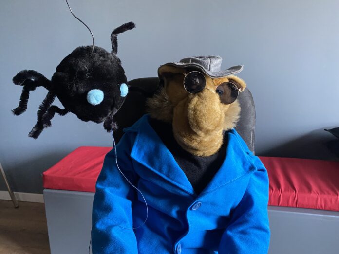 Kees de kameel liggende foto