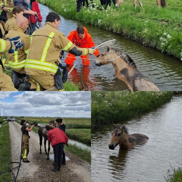 7F391A0E-DACB-422C-99BF-352D30831DAA