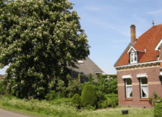 Strijen, het groene dorp langs de keen.