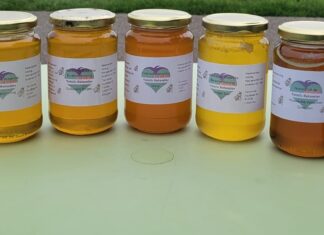 Gratis Honingproeverij met uitleg bij TotalisNaturales