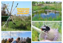 Crowdfundingactie gestart voor Voedselbos ‘Nabij het Oudeland’ in Strijen